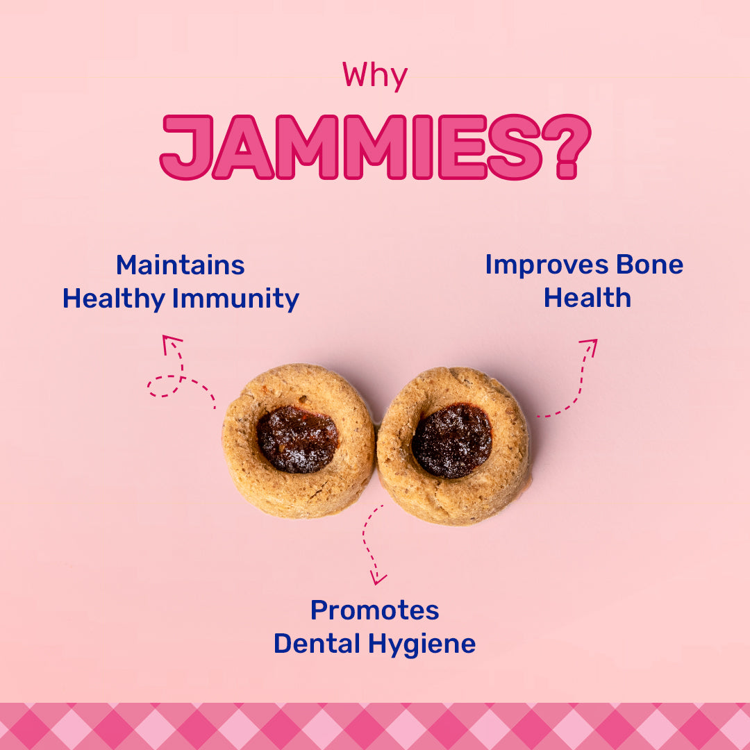 HUFT Jammies - Strawberry Jam Filled Dog Treats - 100 gm - Heads Up For Tails