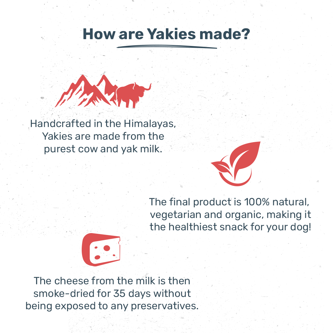 HUFT Yakies Vegetarian Natural Chew Bone - Apple - Heads Up For Tails