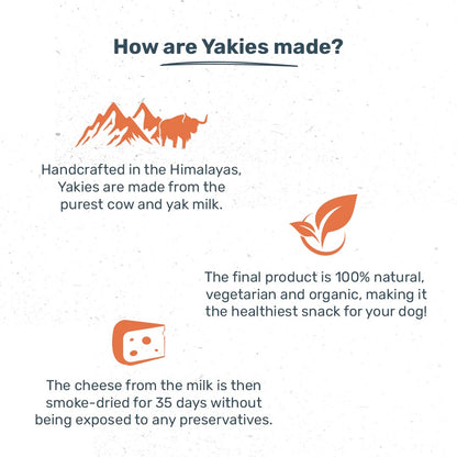 HUFT Yakies Vegetarian Natural Chew Bone - Turmeric
