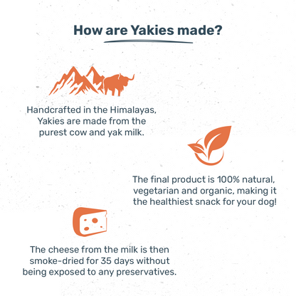 HUFT Yakies Vegetarian Natural Chew Bone - Turmeric - Heads Up For Tails