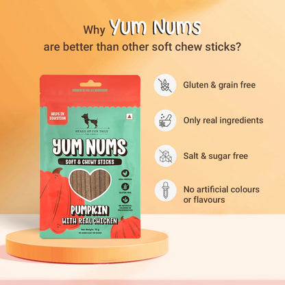 HUFT Yum Nums Soft & Chewy Sticks Pumpkin with Real Chicken Treat For Dogs - 70 g