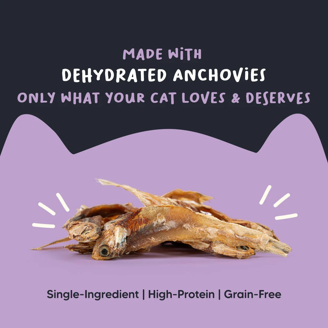 Meowsi by HUFT Dehydrated Anchovies Crunchies Cat Treats - 35 g