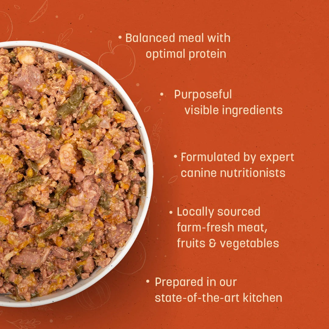 Sara's Wholesome Grain-Free Chicken & Veggies Dog Food