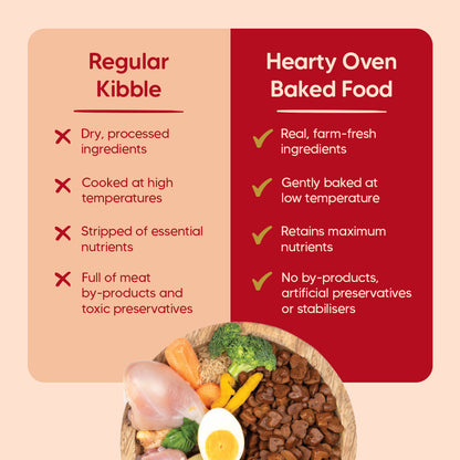 Hearty Oven-Baked Adult Dog Food  Chicken, Duck & Pumpkin, 250g, suitable for all breeds.