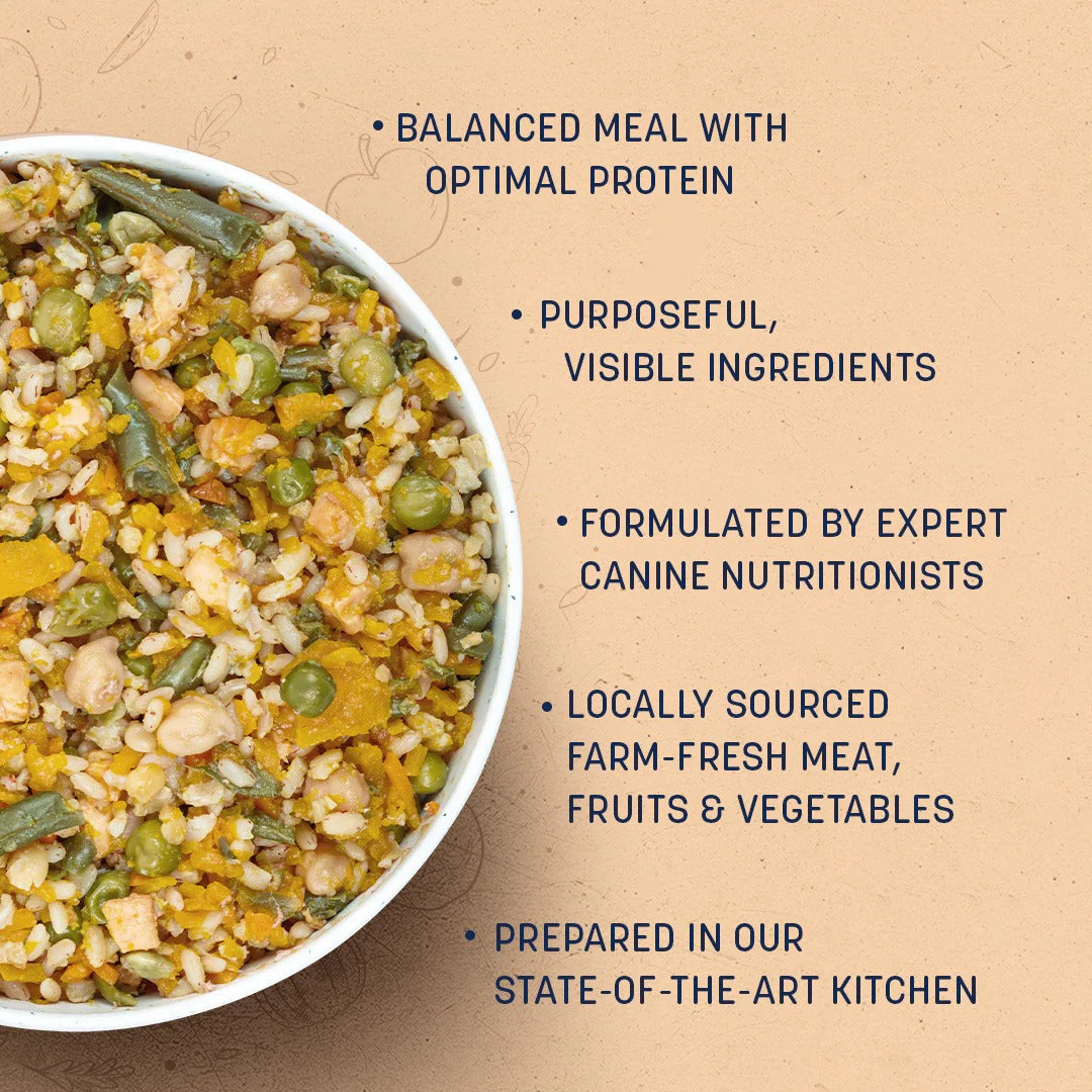 Sara's Wholesome Paneer & Veggies Vegetarian Dog Food