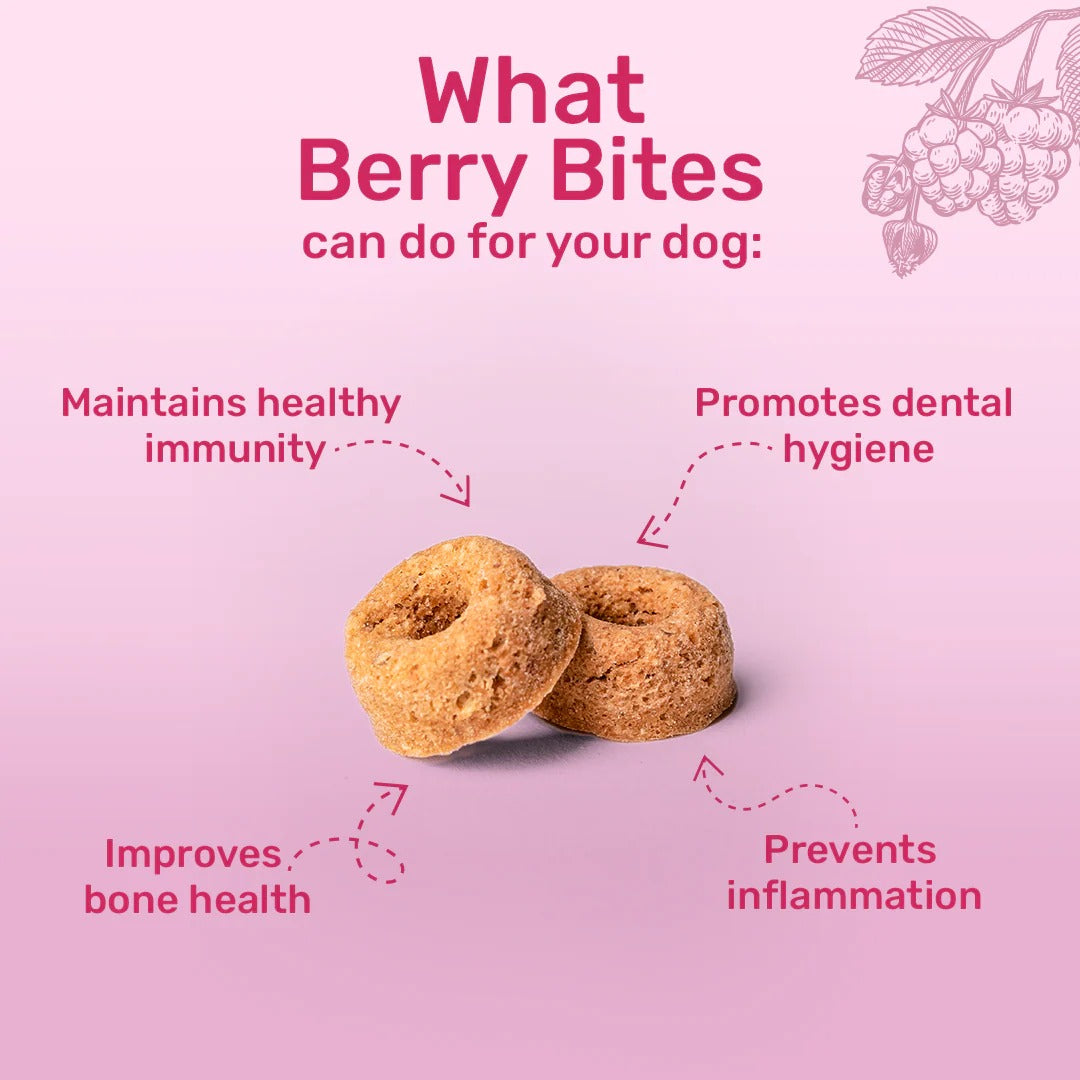 HUFT Berry Bites - Chicken & Raspberries Treats For Dogs - 140 g