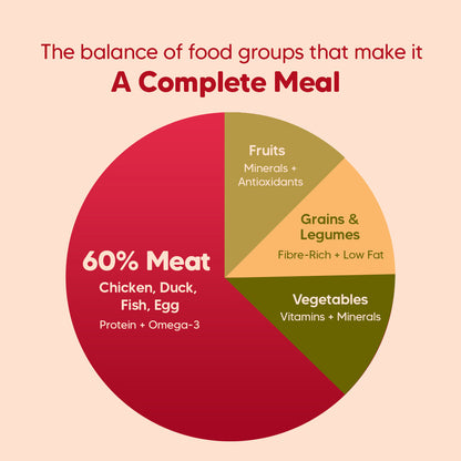 Hearty Oven-Baked Adult Dog Food  Chicken, Duck & Pumpkin, 250g, suitable for all breeds.