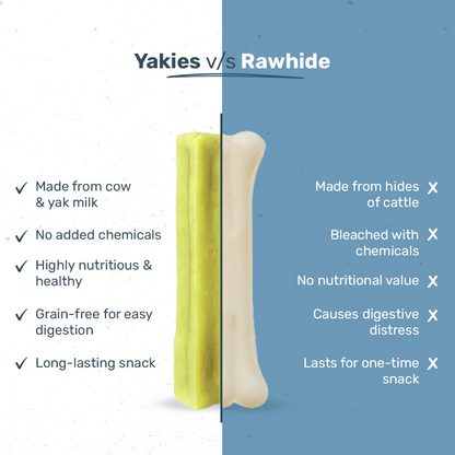 HUFT Yakies Vegetarian Natural Chew Bone - Mint - Heads Up For Tails
