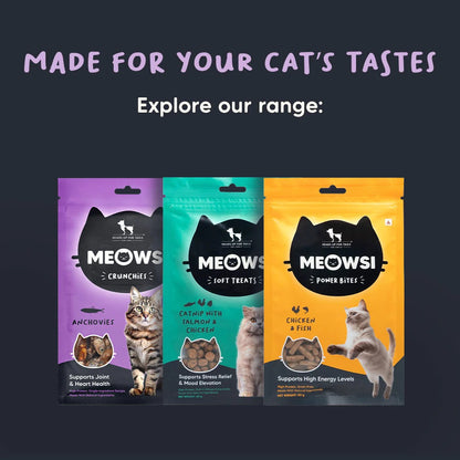 Meowsi by HUFT Dehydrated Anchovies Crunchies Cat Treats - 35 g