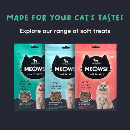 Meowsi Soft Cat Treats Catnip Salmon & Chicken Grain-Free - 50 g