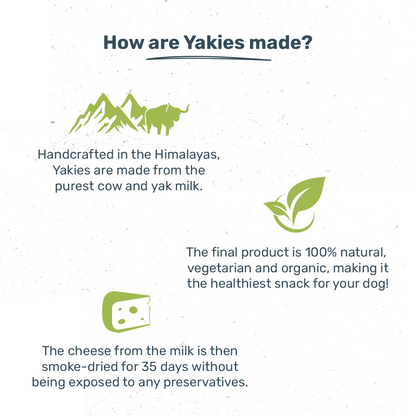 HUFT Yakies Vegetarian Natural Chew Bone - Mint - Heads Up For Tails