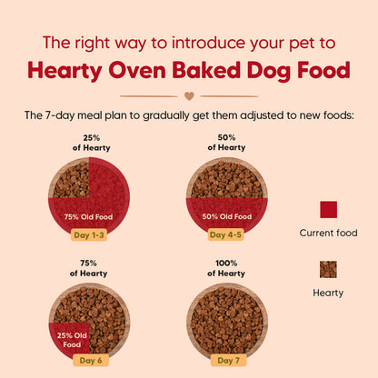 Hearty Oven-Baked Dog Food by Heads Up for Tails, Chicken, Duck and Pumpkin, 250g, suitable for all breeds.