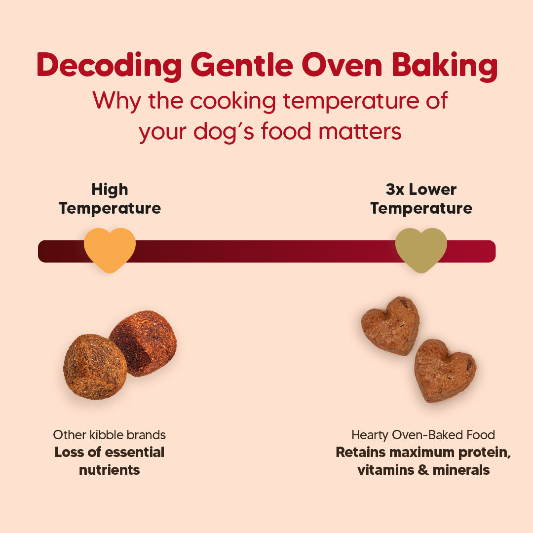 Hearty Lamb & Blueberry Oven-Baked Adult Dog Food by Heads Up for Tails, suitable for all breeds, 60% animal protein.