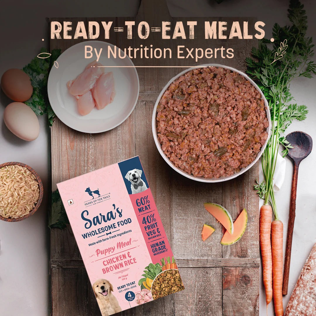 Sara's Wholesome Chicken & Brown Rice Puppy Food - 100 gm