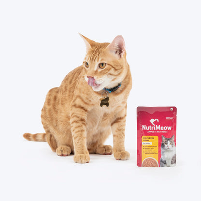 NutriMeow Chicken In Gravy Wet Food For Adult Cat - 80 gm