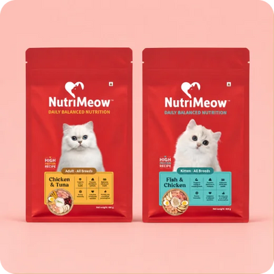 Cat Dry Food