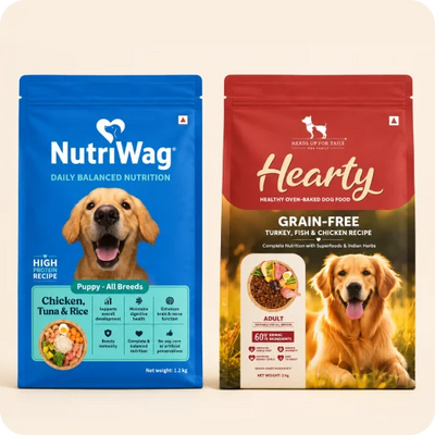 Dog Dry Food