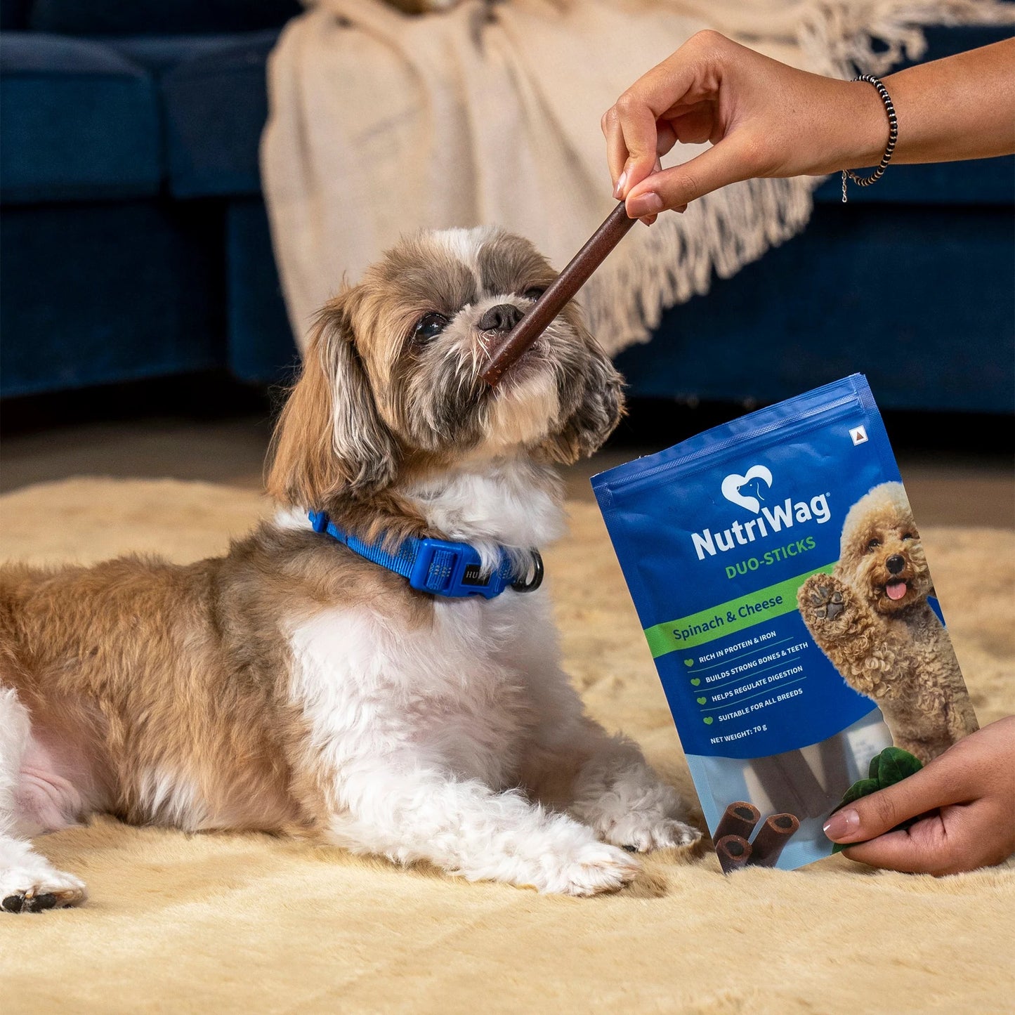 NutriWag Spinach & Cheese Duo Sticks Treats For Dog - 70 gm