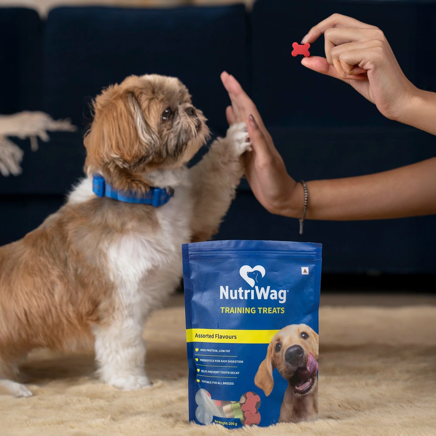 NutriWag Assorted Training Bites Treats For Dog - 200 gm