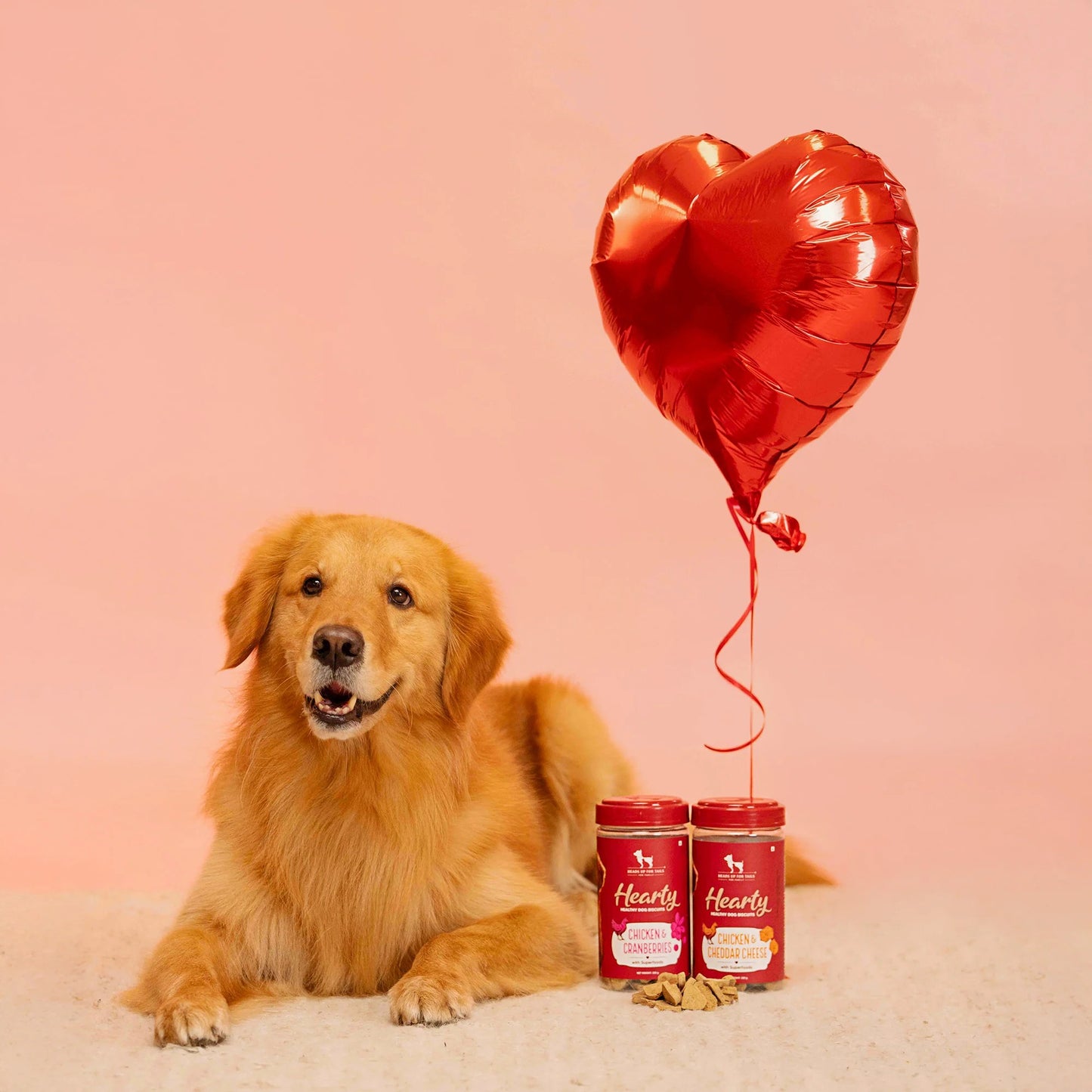 Hearty Dog Biscuits Chicken & Cranberries Grain-Free - 320 g