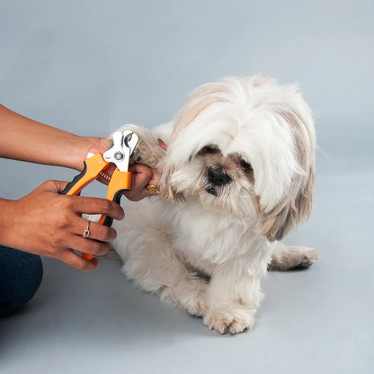 HUFT Nail Cutter for Dogs with Safety Guard