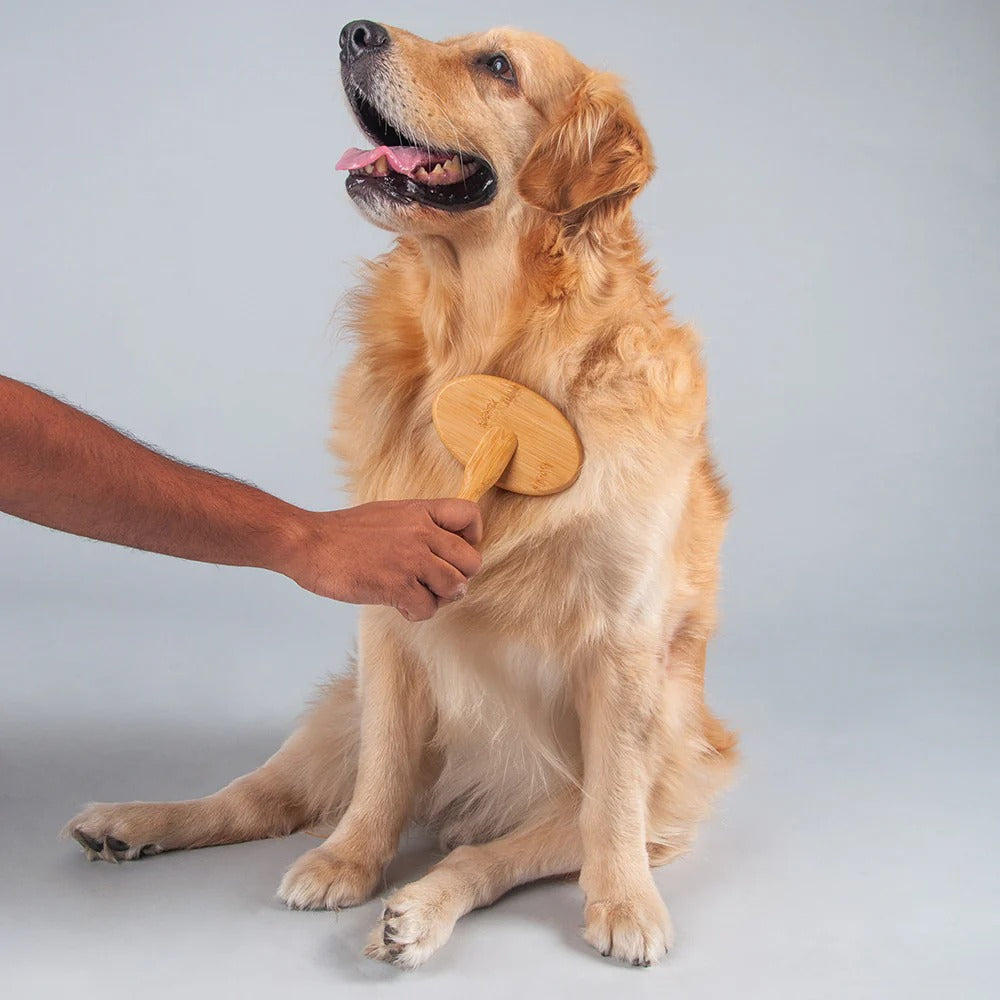 HUFT Bamboo Slicker Brush For Dog & Cat - S