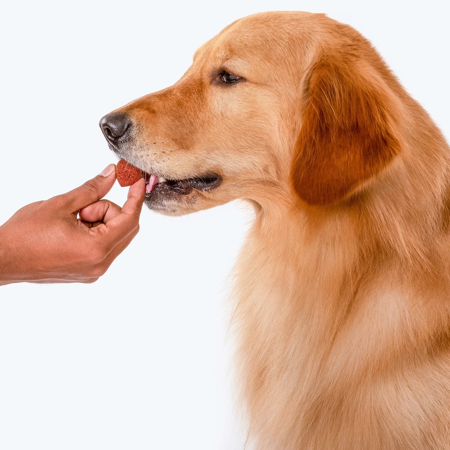 HUFT Nutri Treats For Dogs - Immunity Support - 150 g