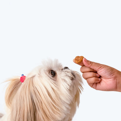 HUFT Nutri Treats For Dogs - Digestive Health - 150 g