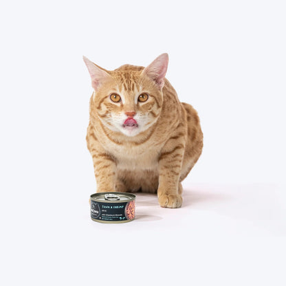 Meowsi Tuna & Shrimp Pâté Can Wet Cat Food Grain-Free 80g