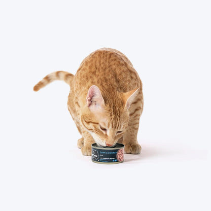 Meowsi Tuna & Chicken Pate Wet Cat Food Can 80g