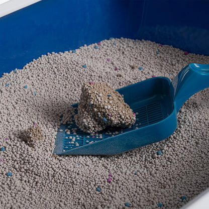 HUFT Cat Litter (Natural & Clumping) - Lavender Scented