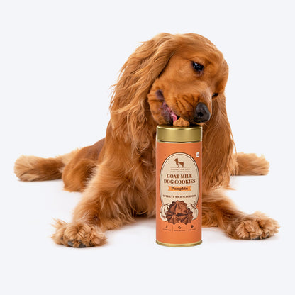 HUFT Goat Milk Dog Cookies - Pumpkin - 200 g