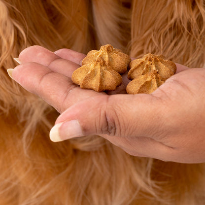 HUFT Goat Milk Dog Cookies - Pumpkin - 200 g