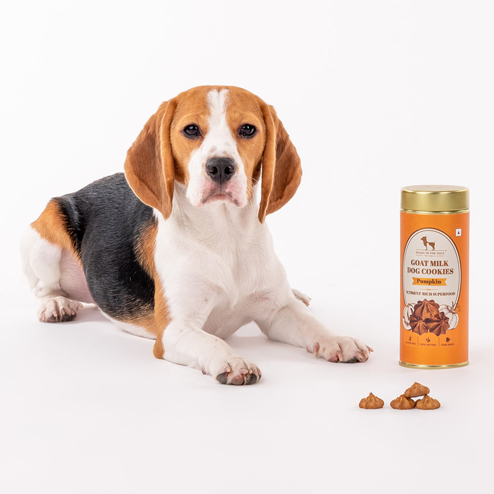 HUFT Goat Milk Dog Cookies - Pumpkin - 200 g