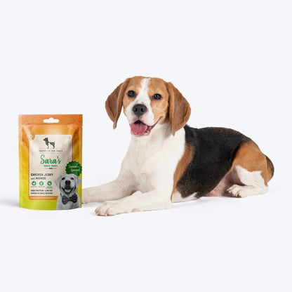 Sara's Mango Chicken Jerky Dog Treats Human-Grade 70g