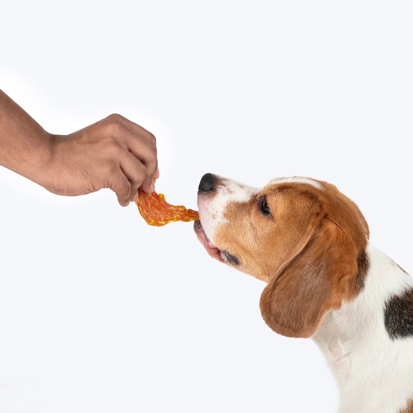 Sara's Mango Chicken Jerky Dog Treats Human-Grade 70g