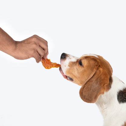 Sara's Mango Chicken Jerky Dog Treats Human-Grade 70g
