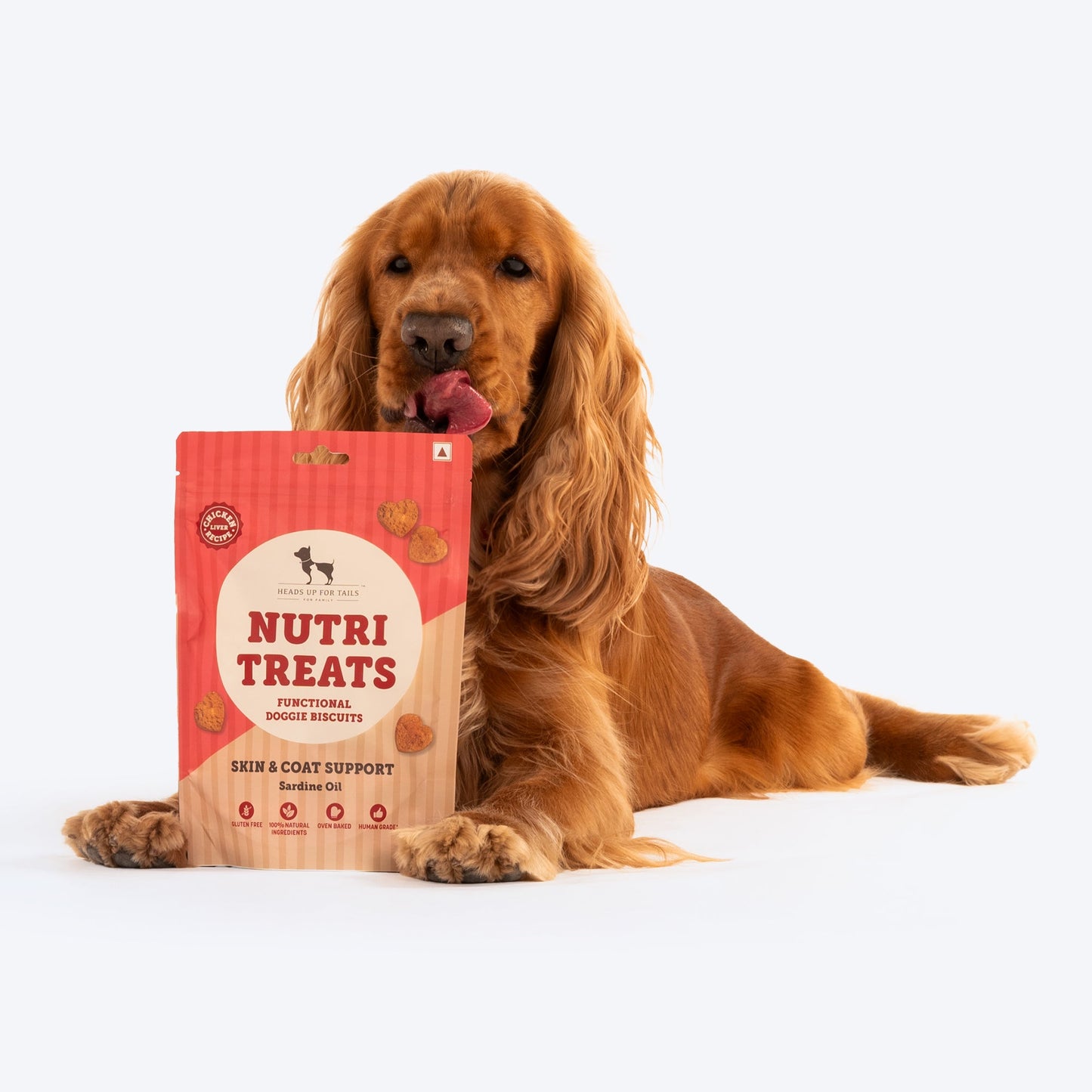 HUFT Nutri Treats For Dogs - Skin & Coat Support - 150 g