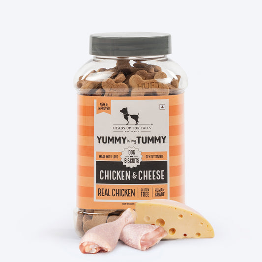 HUFT Yummy In My Tummy Chicken & Cheese Gluten-Free Biscuits