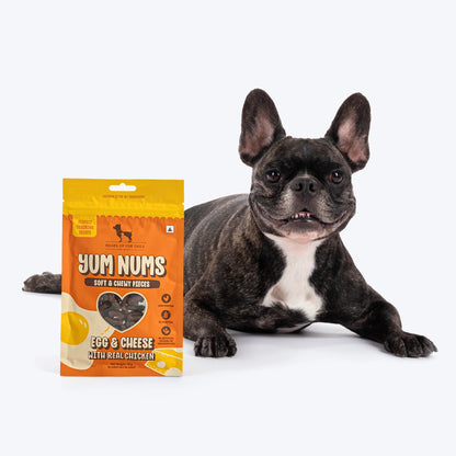 HUFT Yum Nums Soft & Chewy Sticks Egg & Cheese With Real Chicken Treat For Dogs