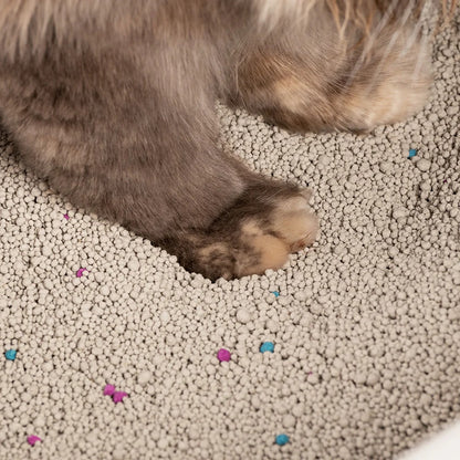 HUFT Cat Litter (Natural & Clumping) - Lavender Scented