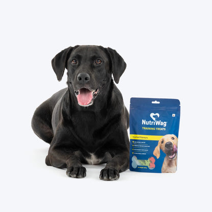 NutriWag Assorted Training Bites Treats For Dog - 200 gm