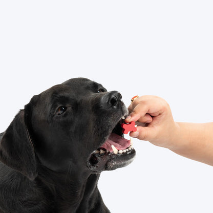 NutriWag Assorted Training Bites Treats For Dog - 200 gm