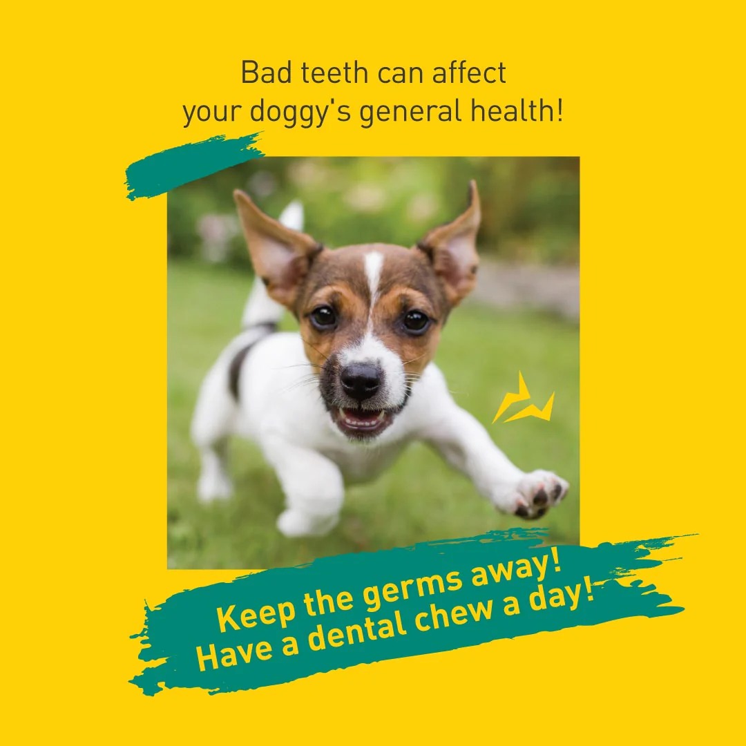 Happi Doggy Vegetarian Dental Chew - Care (Hip & Joint Support) Rosehip & Okra - Petite - 2.5 inch - 150 g - 18 Pieces