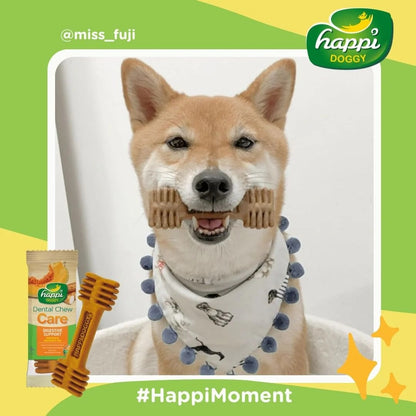 Happi Doggy Vegetarian Dental Chew (Digestive Support) - Pumpkin & Mountain Yam (Singles) - 25 g