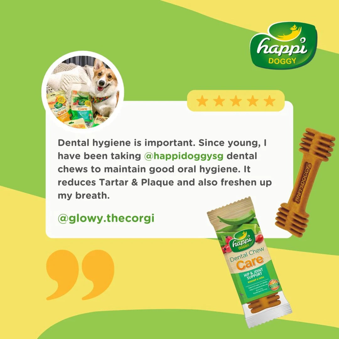 Happi Doggy Vegetarian Dental Chew - Care (Hip & Joint Support) Rosehip & Okra - Petite - 2.5 inch - 150 g - 18 Pieces