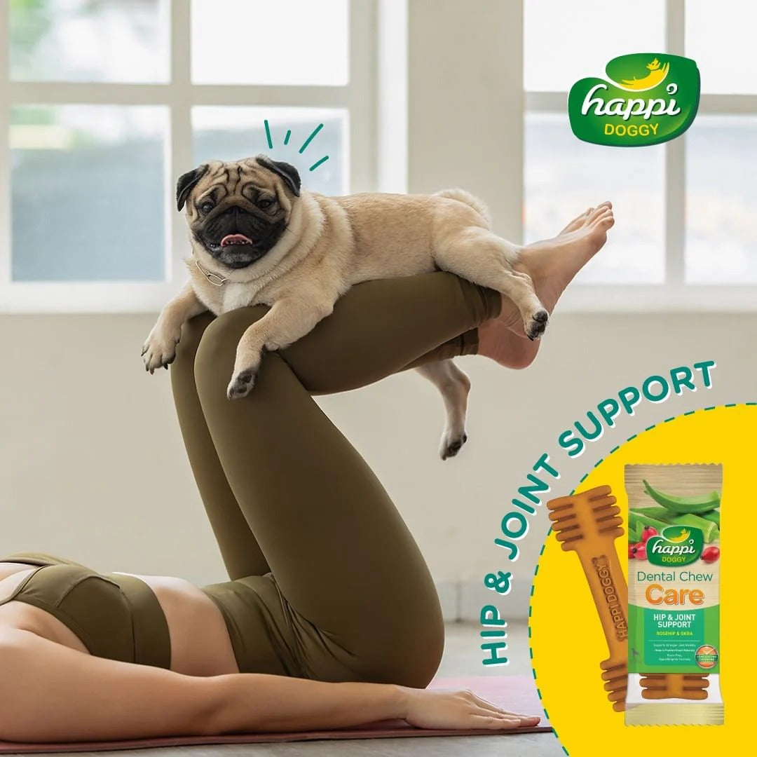 Happi Doggy Vegetarian Dental Chew - Care (Hip & Joint Support) Rosehip & Okra - Petite - 2.5 inch - 150 g - 18 Pieces
