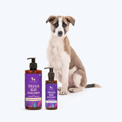 HUFT Natural Tick & Flea Repellent Shampoo for Dogs - Heads Up For Tails