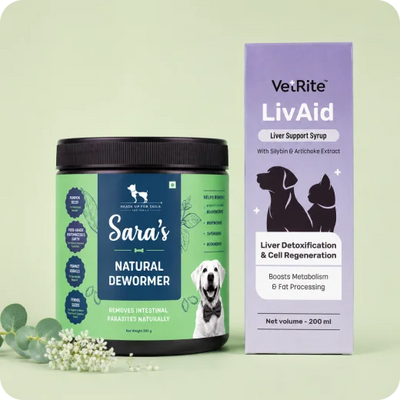 Dog Health & Hygiene