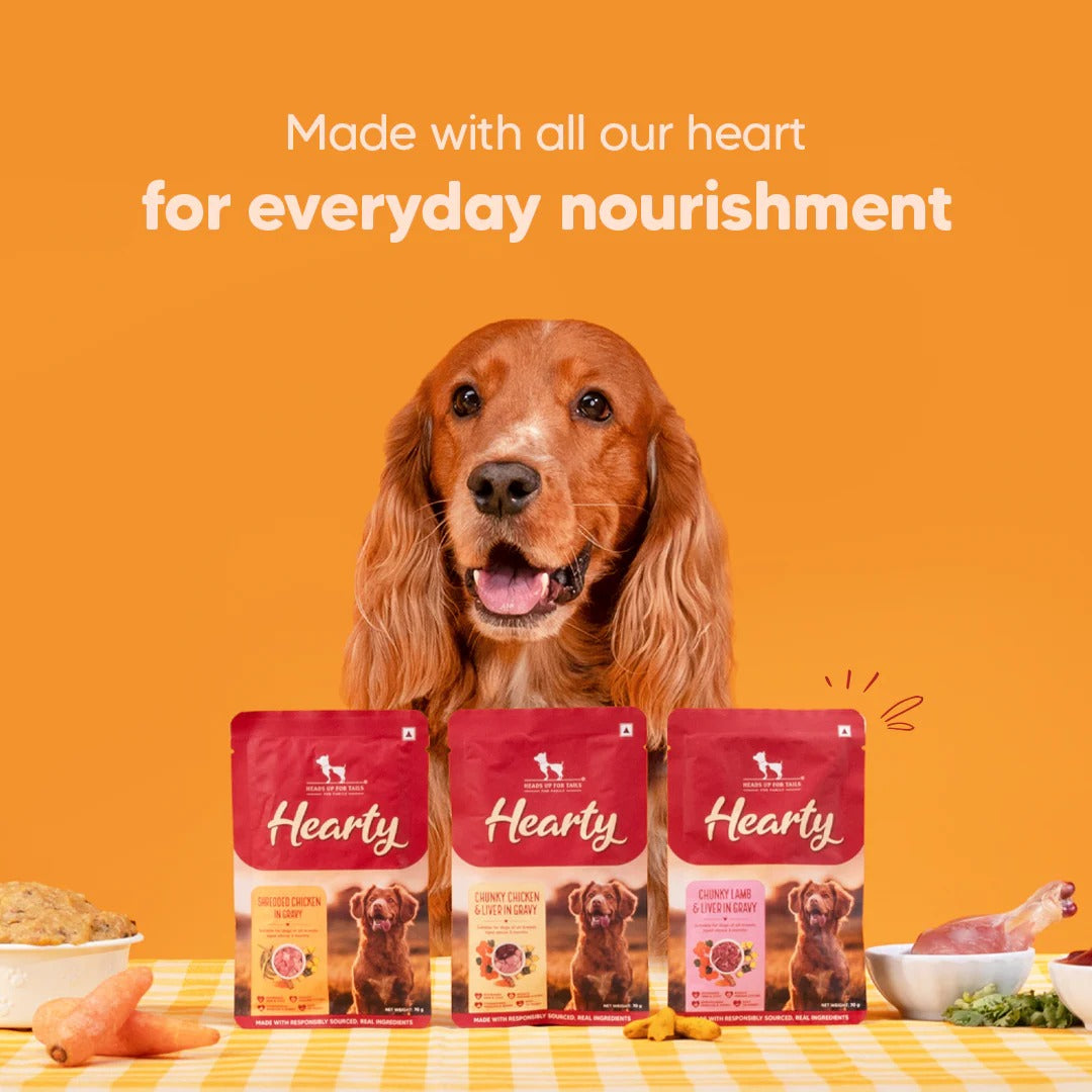 Hearty Chunky Chicken & Liver in Gravy Wet Dog Food 70g